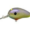 C Flash 22 Cal. Crankbait