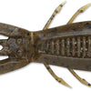Rapala CrushCity Bronco Bug