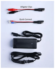 Amped Outdoors 3amp Lithium Charger