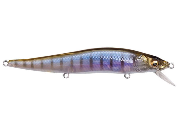 MEGABASS VISION 110