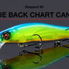 MEGABASS VISION 110
