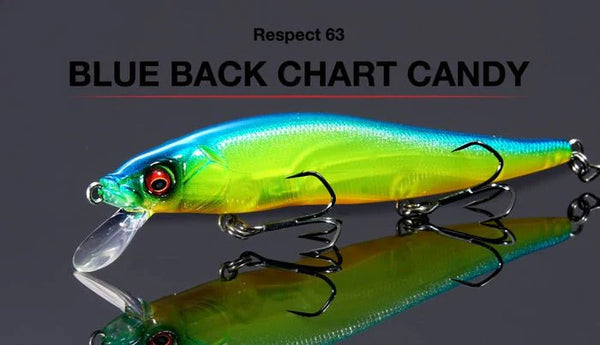 MEGABASS VISION 110