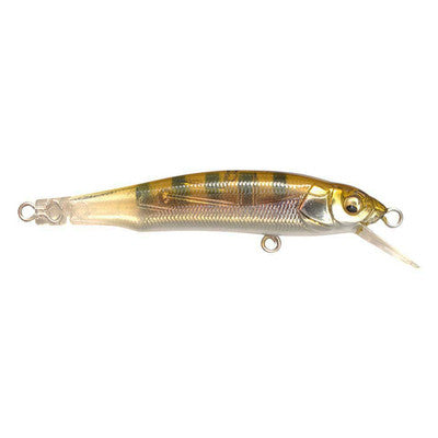 MEGABASS X-70 (BFS)