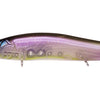 MEGABASS VISION 110 +1 JR