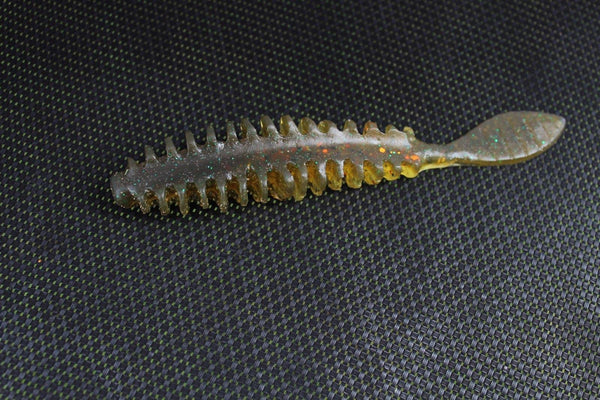 Poor Boys Erie Darter