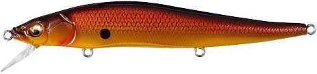 MEGABASS VISION 110