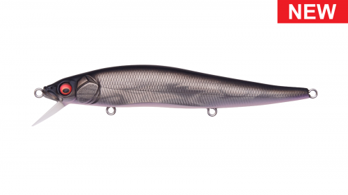 MEGABASS VISION 110