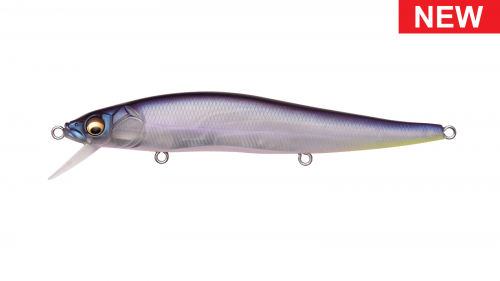 MEGABASS VISION 110