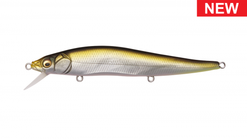 MEGABASS VISION 110