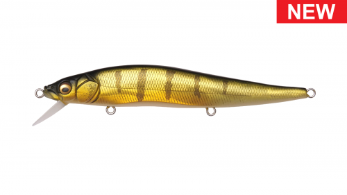 MEGABASS VISION 110