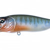 MEGABASS POPMAX