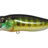 MEGABASS POPMAX