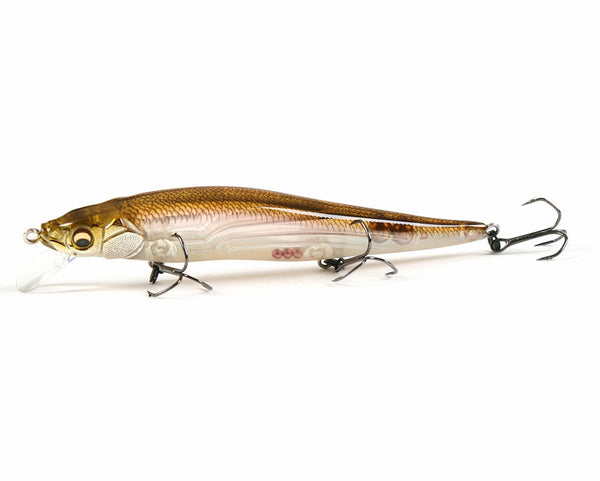 MEGABASS VISION 110