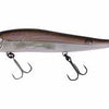 MEGABASS VISION 110