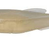 Megabass Magdraft (6in)