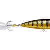 Lobina Rico Popper