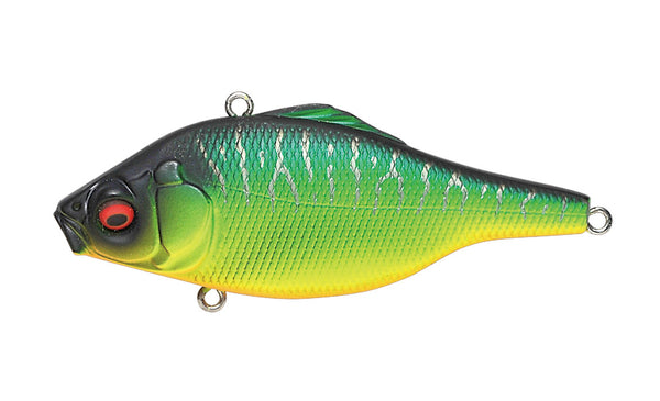 VIBRATION-X ULTRA (RATTLE)