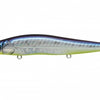 MEGABASS VISION 110