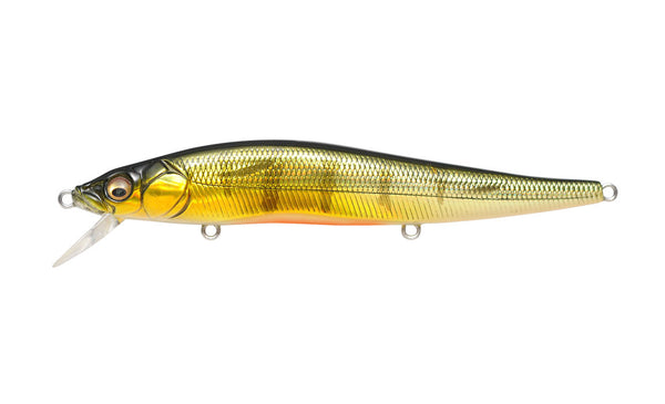 MEGABASS VISION 110