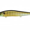MEGABASS VISION 110