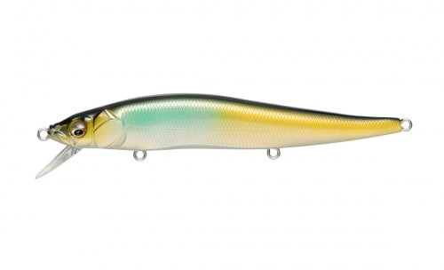 MEGABASS VISION 110