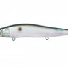 MEGABASS VISION 110