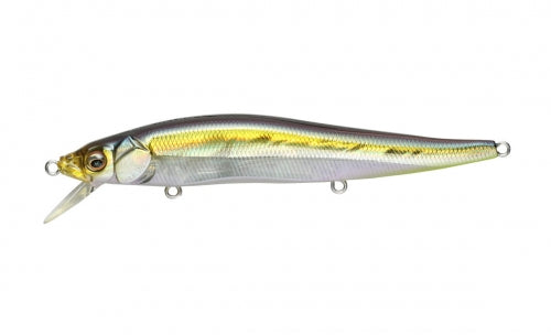 MEGABASS VISION 110 SILENT