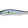 MEGABASS VISION 110 SILENT