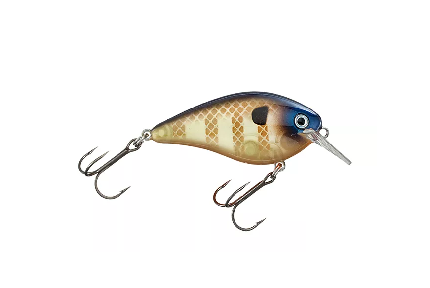KVD 2.5 Strike King Squarebill