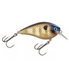 KVD 2.5 Strike King Squarebill