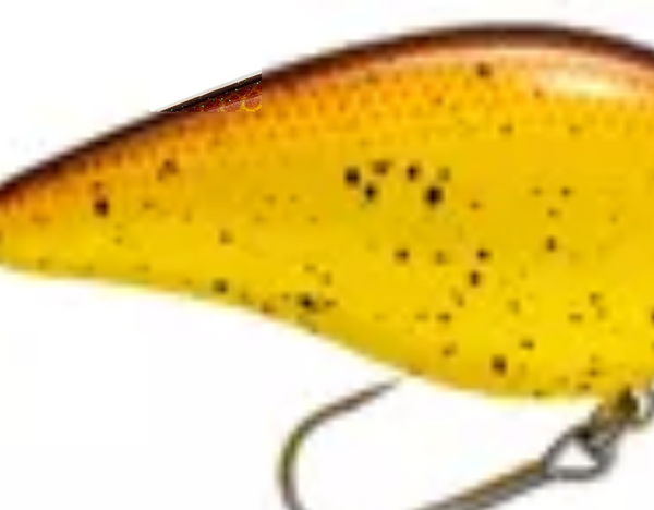 Strike King KVD 2.5 Wakebait