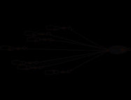 HOGFARMER BAITS CALI CRUSH RIG