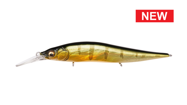 MEGABASS VISION 110 +1 JR