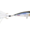 Lobina Rico Popper