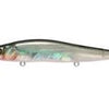 MEGABASS VISION 110