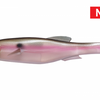 Megabass Magdraft (6in)