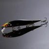 MEGABASS VISION 110