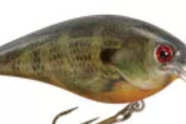 KVD 2.5 Strike King Squarebill
