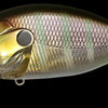 MEGABASS O.R.C.