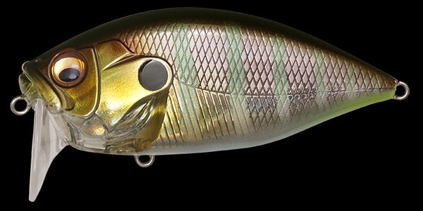 MEGABASS O.R.C.