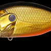 MEGABASS O.R.C.