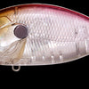 MEGABASS O.R.C.