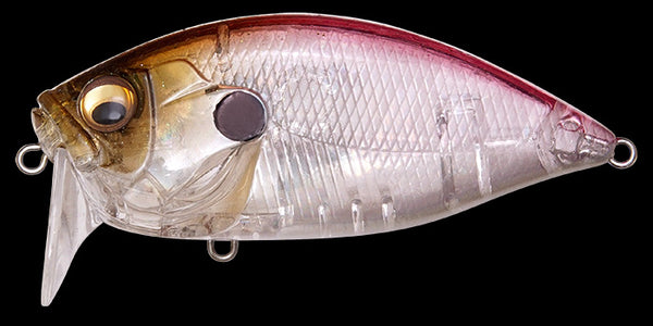 MEGABASS O.R.C.
