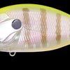 MEGABASS O.R.C.