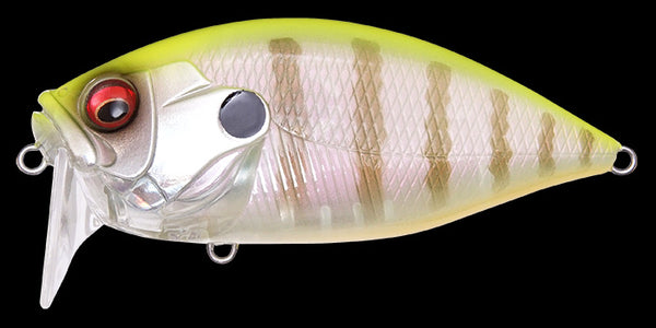 MEGABASS O.R.C.