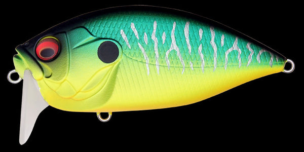 MEGABASS O.R.C.