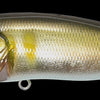 MEGABASS POPMAX