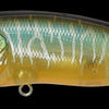 MEGABASS POPMAX