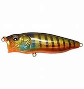 MEGABASS POPX