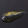 MEGABASS VISION 110